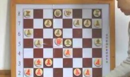 国际象棋入门教学视频,跟随教学视频轻松掌握棋艺精髓